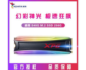 威剛XPG 龍耀S40G 256GB SSD固態(tài)硬盤M.2接口(NVMe協(xié)議)