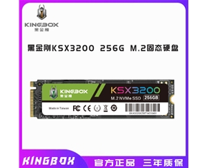 黑金剛KSX3200 256G M.2固態(tài)硬盤