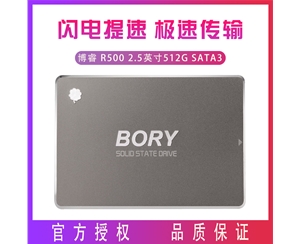 BORY博睿 R500 2.5英寸 512G SATA3 臺式機 筆記本 SSD 固態(tài)硬盤