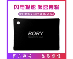 BORY博睿 R500 2.5英寸960G SATA3 臺式機 筆記本 SSD 固態(tài)硬盤